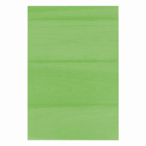 Imagem adicional do produto PAPEL VEGETAL MANTEIGA A4 100GR BLISTER 10 FOLHAS COR VERDE LIMAO